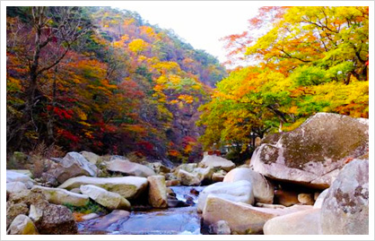 합천 - 황산2구 고향의집